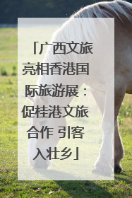 广西文旅亮相香港国际旅游展：促桂港文旅合作 引客入壮乡