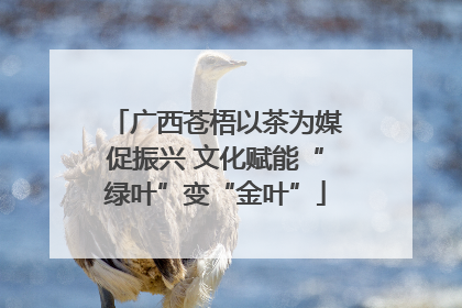 广西苍梧以茶为媒促振兴 文化赋能“绿叶”变“金叶”