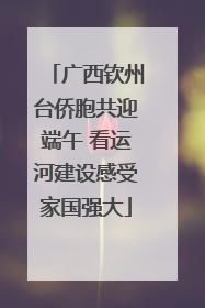 广西钦州台侨胞共迎端午 看运河建设感受家国强大