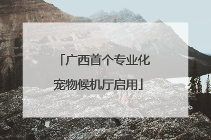 广西首个专业化宠物候机厅启用