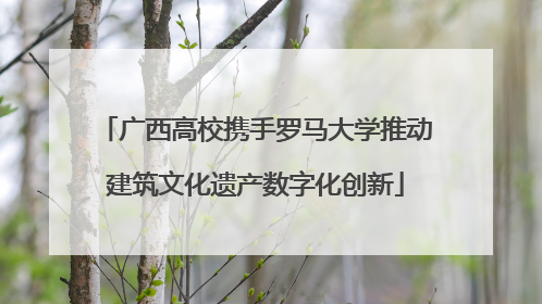 广西高校携手罗马大学推动建筑文化遗产数字化创新
