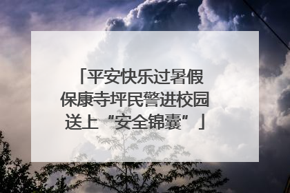 平安快乐过暑假 保康寺坪民警进校园送上“安全锦囊”