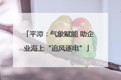 平潭：气象赋能 助企业海上“追风逐电”