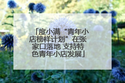 度小满“青年小店榜样计划”在张家口落地 支持特色青年小店发展
