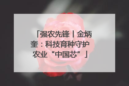 强农先锋丨金炳奎：科技育种守护农业“中国芯”
