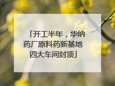 开工半年，华纳药厂原料药新基地四大车间封顶