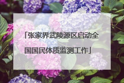 张家界武陵源区启动全国国民体质监测工作