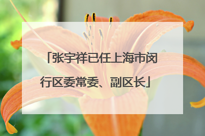 张宇祥已任上海市闵行区委常委、副区长