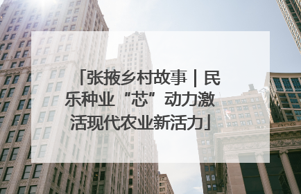 张掖乡村故事｜民乐种业“芯”动力激活现代农业新活力