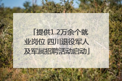 提供1.2万余个就业岗位 四川退役军人及军属招聘活动启动