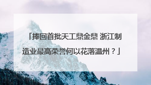 捧回首批天工鼎金鼎 浙江制造业最高荣誉何以花落温州？
