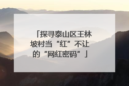探寻泰山区王林坡村当“红”不让的“网红密码”