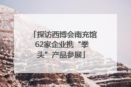 探访西博会南充馆 62家企业携“拳头”产品参展