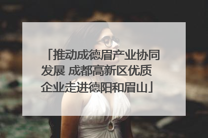 推动成德眉产业协同发展 成都高新区优质企业走进德阳和眉山