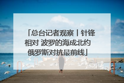 总台记者观察丨针锋相对 波罗的海成北约俄罗斯对抗最前线