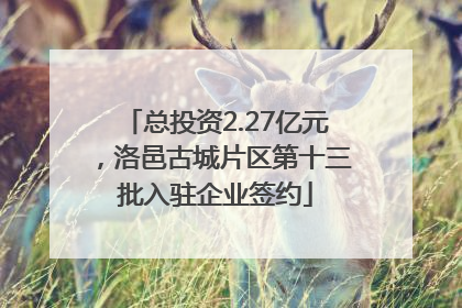 总投资2.27亿元，洛邑古城片区第十三批入驻企业签约