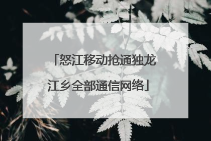 怒江移动抢通独龙江乡全部通信网络