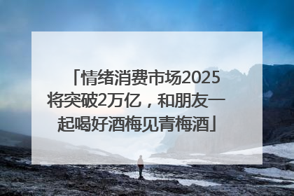 情绪消费市场2025将突破2万亿，和朋友一起喝好酒梅见青梅酒