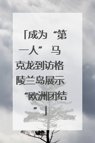 成为“第一人” 马克龙到访格陵兰岛展示“欧洲团结”