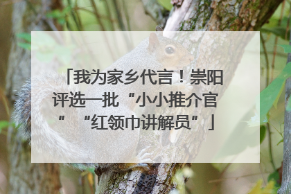 我为家乡代言！崇阳评选一批“小小推介官”“红领巾讲解员”
