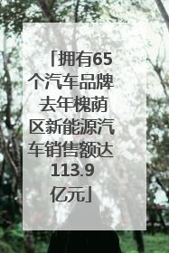 拥有65个汽车品牌 去年槐荫区新能源汽车销售额达113.9亿元