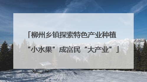 柳州乡镇探索特色产业种植 “小水果”成富民“大产业”