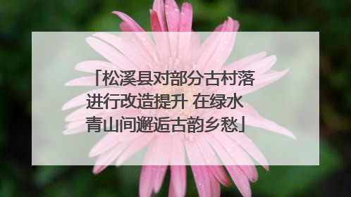 松溪县对部分古村落进行改造提升 在绿水青山间邂逅古韵乡愁