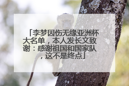 李梦因伤无缘亚洲杯大名单，本人发长文致谢：感谢祖国和国家队，这不是终点