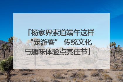 杨家界索道端午这样“宠游客” 传统文化与趣味体验点亮佳节