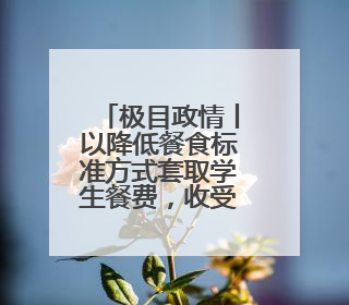 极目政情丨以降低餐食标准方式套取学生餐费，收受教辅材料回扣，吉林一中学校长、副校长均被“双开”