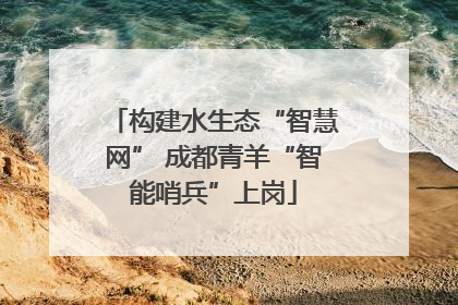 构建水生态“智慧网” 成都青羊“智能哨兵”上岗