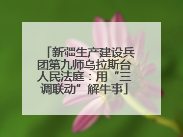 新疆生产建设兵团第九师乌拉斯台人民法庭：用“三调联动”解牛事