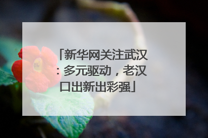 新华网关注武汉：多元驱动，老汉口出新出彩强