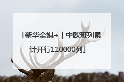新华全媒+｜中欧班列累计开行110000列