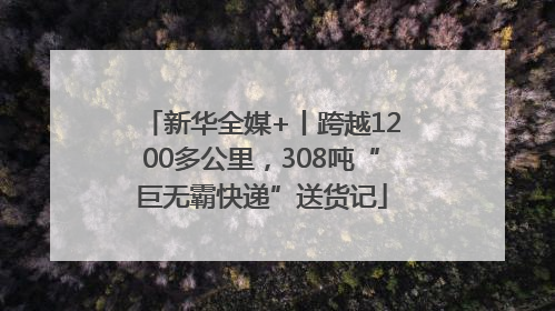 新华全媒+丨跨越1200多公里，308吨“巨无霸快递”送货记