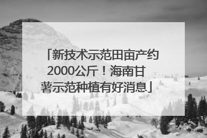 新技术示范田亩产约2000公斤！海南甘薯示范种植有好消息