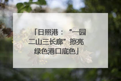 日照港：“一园二山三长廊”擦亮绿色港口底色