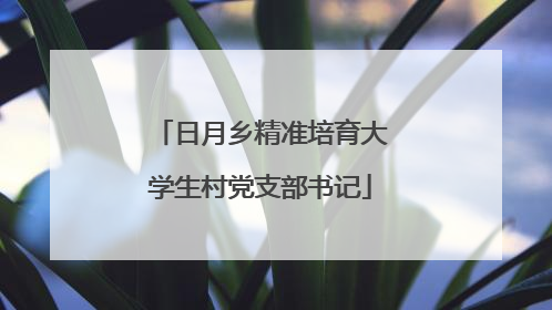 日月乡精准培育大学生村党支部书记