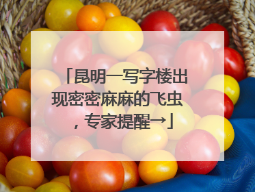 昆明一写字楼出现密密麻麻的飞虫，专家提醒→