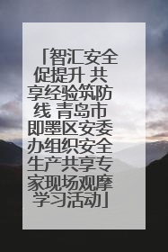 智汇安全促提升 共享经验筑防线 青岛市即墨区安委办组织安全生产共享专家现场观摩学习活动