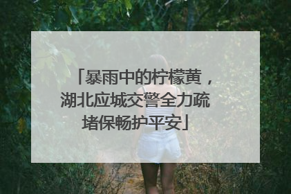 暴雨中的柠檬黄，湖北应城交警全力疏堵保畅护平安