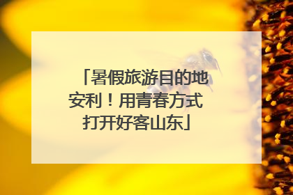 暑假旅游目的地安利！用青春方式打开好客山东