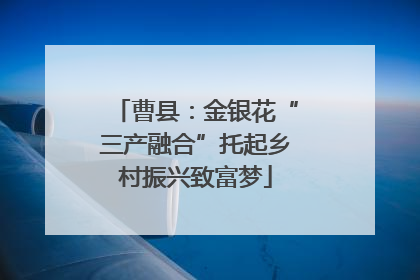 曹县：金银花“三产融合”托起乡村振兴致富梦