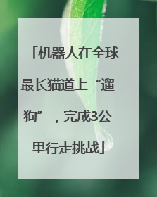 机器人在全球最长猫道上“遛狗”，完成3公里行走挑战