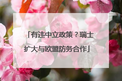有违中立政策？瑞士扩大与欧盟防务合作
