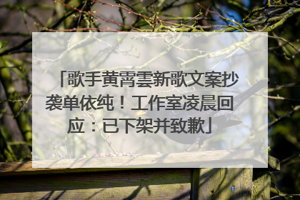 歌手黄霄雲新歌文案抄袭单依纯！工作室凌晨回应：已下架并致歉
