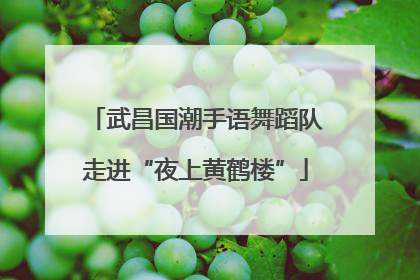 武昌国潮手语舞蹈队走进“夜上黄鹤楼”