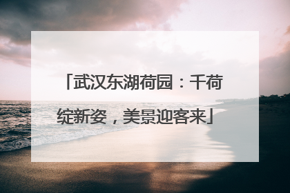 武汉东湖荷园：千荷绽新姿，美景迎客来