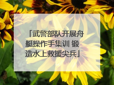 武警部队开展舟艇操作手集训 锻造水上救援尖兵
