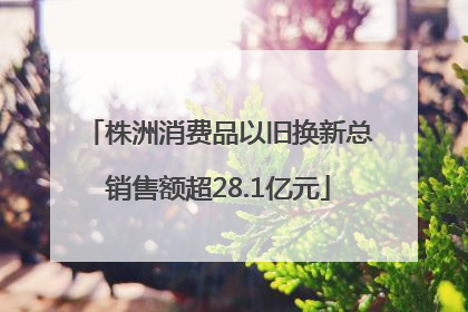 株洲消费品以旧换新总销售额超28.1亿元